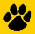 paw.jpg (2527 bytes)